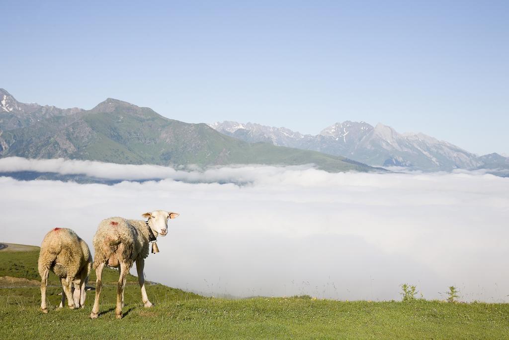 Hotel Le Viscos Saint-Savin (Hautes-Pyrenees) Exterior foto